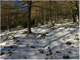 Planina Ravne - Kocbekov dom na Korošici